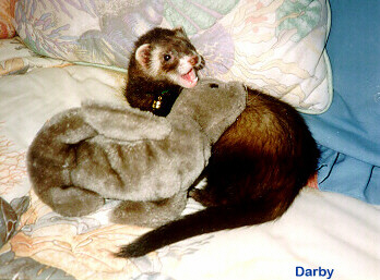 Darby and Friend2.JPG (45739 bytes)