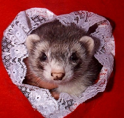 Lillyheart.jpg (44718 bytes)