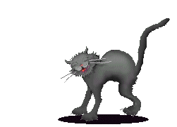 halcat.gif (40926 bytes)