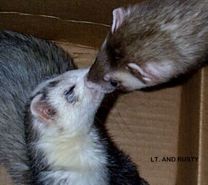 kisssigned.JPG (56737 bytes)