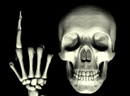 skull18.gif (11730 bytes)